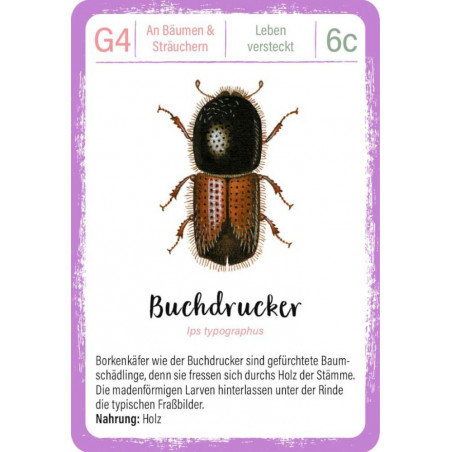 Expedition Natur Quartett Minimonster