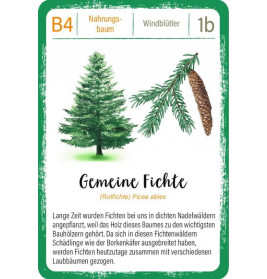 Expedition Natur Quartett Bäume