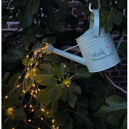 Blatt & Blüte Solar-Lichtregen