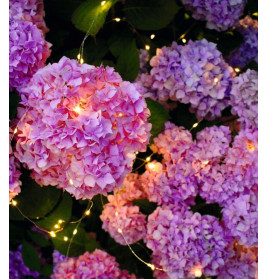 Blatt & Blüte Solar-Lichtregen