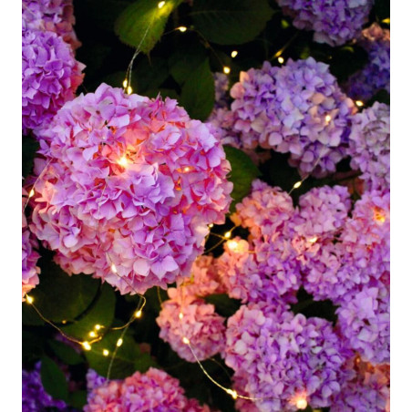 Blatt & Blüte Solar-Lichtregen