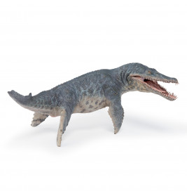 Pabo 55089 Kronosaurus