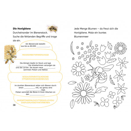 Bücherhelden 2.Kl. Naturrätsel Insekten & Spinnen