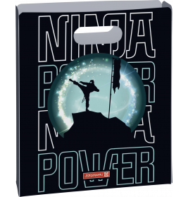 Heftbox A4 offen PP Ninja Power