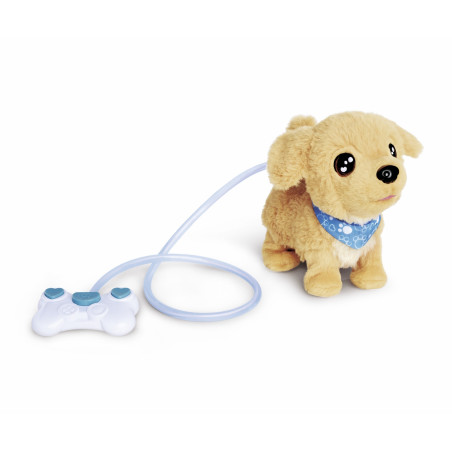 CCL Loomy, Golden Retriever