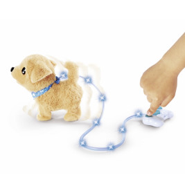 CCL Loomy, Golden Retriever