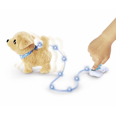 CCL Loomy, Golden Retriever