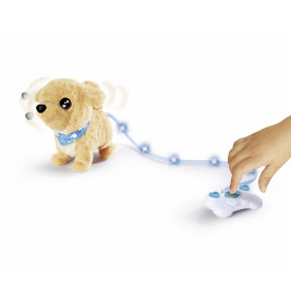 CCL Loomy, Golden Retriever
