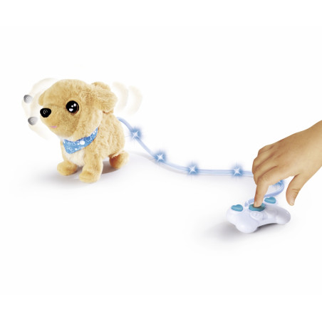 CCL Loomy, Golden Retriever