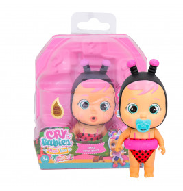 Beach Babies Blister