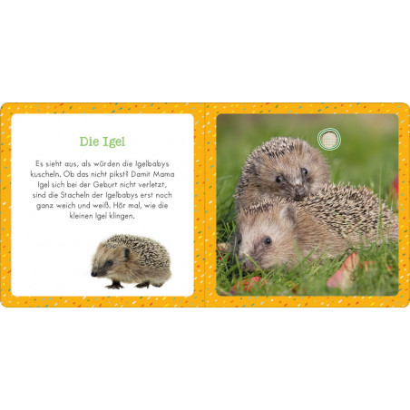 Soundbuch für Klitzekleine – Kleine Tiere