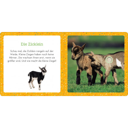 Soundbuch für Klitzekleine – Bauernhoftiere