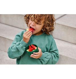 Fruchtbox campus frozen 2