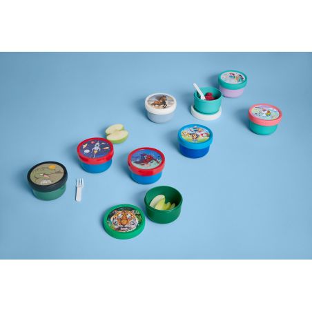 Fruchtboxcampus paw patrol gir ls