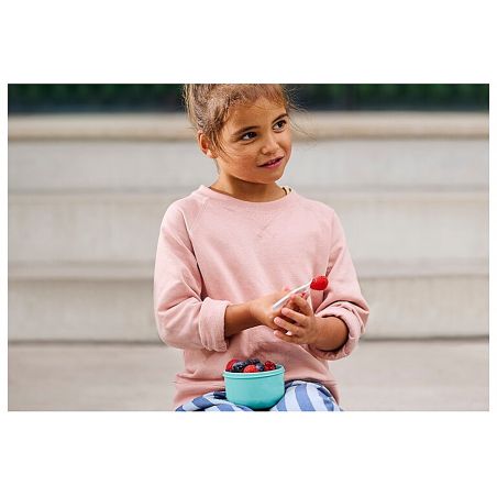 Fruchtboxcampus paw patrol gir ls