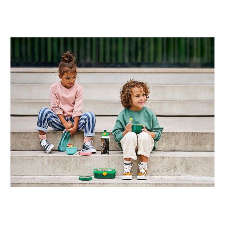 Fruchtboxcampus paw patrol gir ls