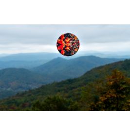 Waboba Wingman pro Disc