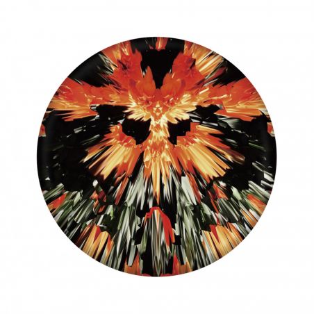 Waboba Wingman pro Disc