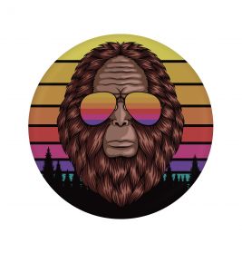 Waboba Wingman pro Disc