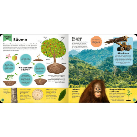 Mein erstes Grundschul-Lexikon