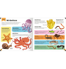 Mein erstes Grundschul-Lexikon