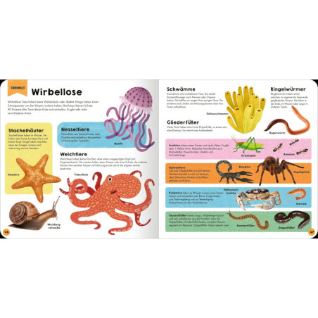 Mein erstes Grundschul-Lexikon