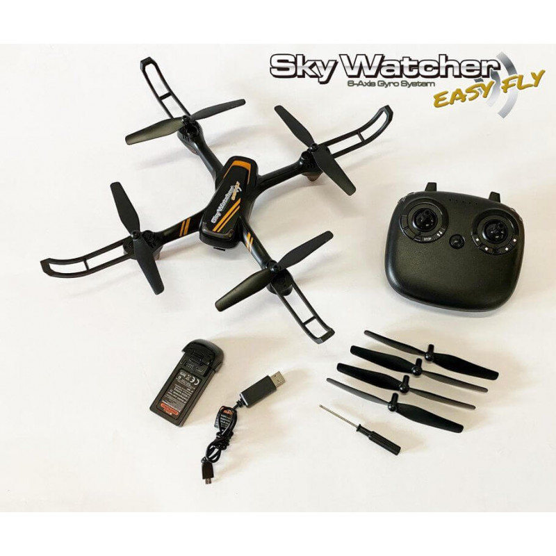 df models - SkyWatcher EasyFly Drohne RTF