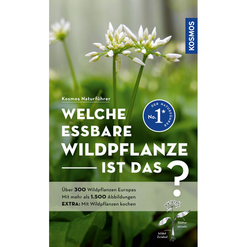 Naturführer Welche essbare Pflanze ist das?