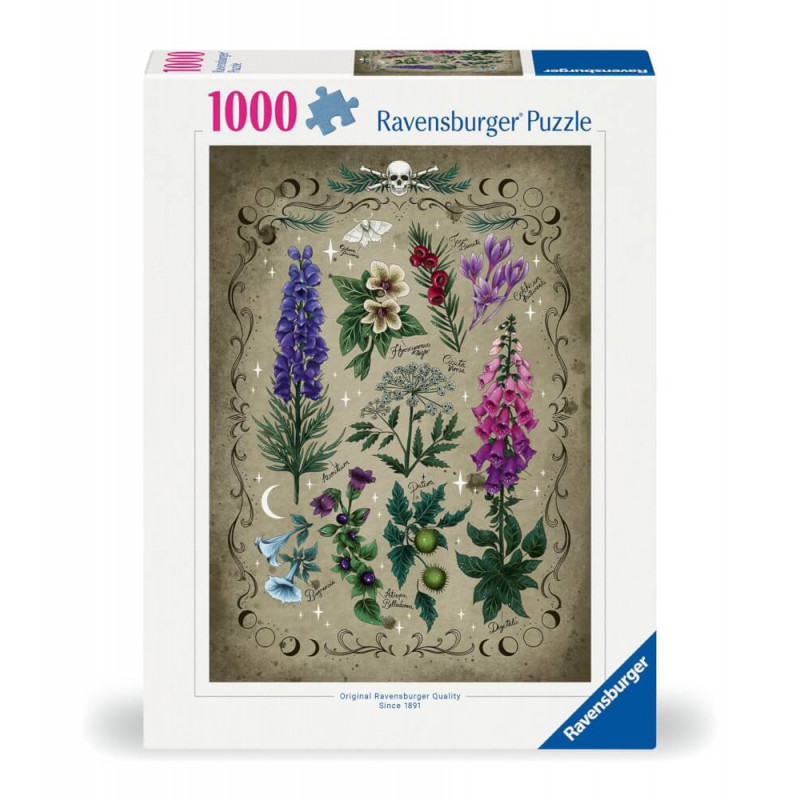 Ravensburger Puzzle mit 1000 Teilen zeigt illustrierte Wildblumen auf einem Hintergrund in Vintage-Pergament-Optik. Ravensburger Puzzle mit 1000 Teilen zeigt illustrierte Wildblumen auf einem Hintergrund in Vintage-Pergament-Optik.