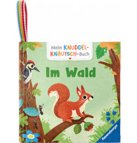Kinderbuch Im Wald mit Illustrationen von Eichhörnchen, Specht und Insekten im Wald.