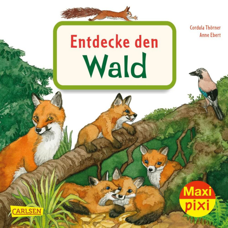 Maxi Pixi 399: Entdecke den Wald