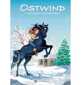Ostwind- Erstleser 04, Weihnachten