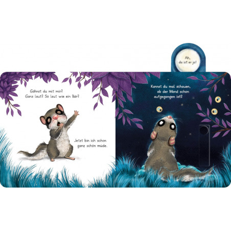 Der kleine Siebenschläfer: Bringst du mich ins Bett?