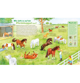 WAS IST WAS Junior Band 5. Pferde und Ponys