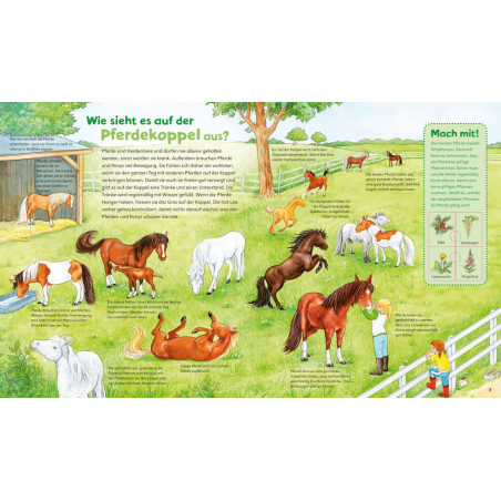 WAS IST WAS Junior Band 5. Pferde und Ponys