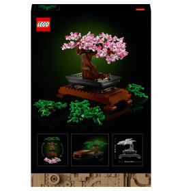 10281 Bonsai Baum