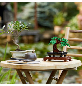 10281 Bonsai Baum