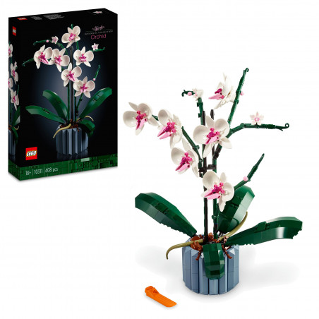 10311 Orchidee