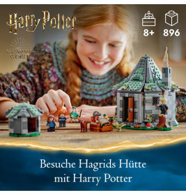 76428 Hagrids Hütte: Ein unerwarteter Besuch