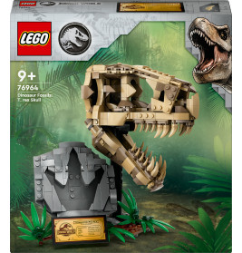 76964 Dinosaurier-Fossilien: T.-rex-Kopf