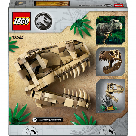 76964 Dinosaurier-Fossilien: T.-rex-Kopf