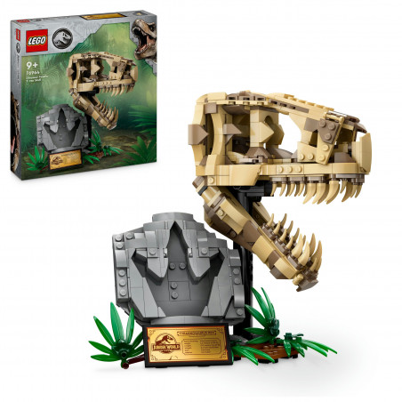 76964 Dinosaurier-Fossilien: T.-rex-Kopf