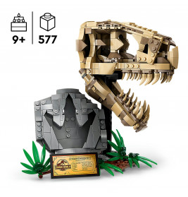 76964 Dinosaurier-Fossilien: T.-rex-Kopf