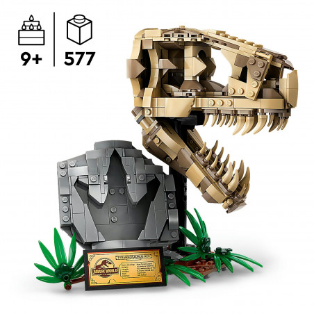 76964 Dinosaurier-Fossilien: T.-rex-Kopf