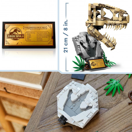 76964 Dinosaurier-Fossilien: T.-rex-Kopf