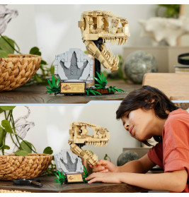 76964 Dinosaurier-Fossilien: T.-rex-Kopf