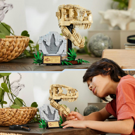 76964 Dinosaurier-Fossilien: T.-rex-Kopf