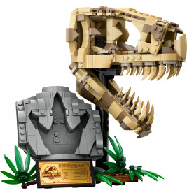 76964 Dinosaurier-Fossilien: T.-rex-Kopf
