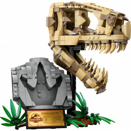 76964 Dinosaurier-Fossilien: T.-rex-Kopf