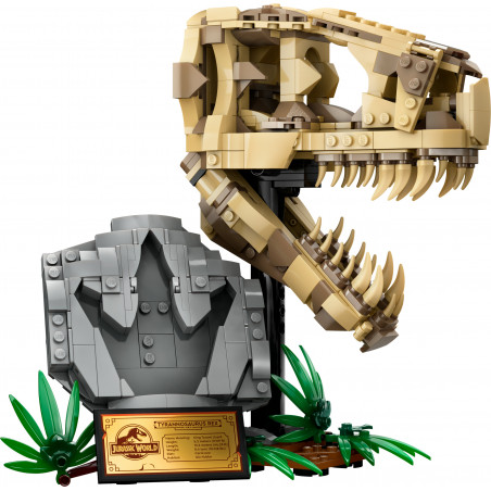 76964 Dinosaurier-Fossilien: T.-rex-Kopf